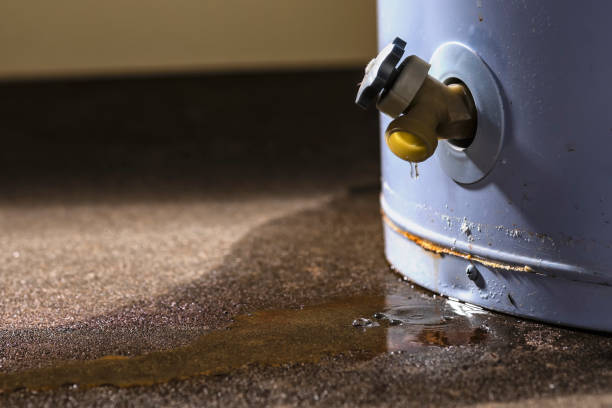 Best Ceiling water damage repair  in Oak Bluffs, MA