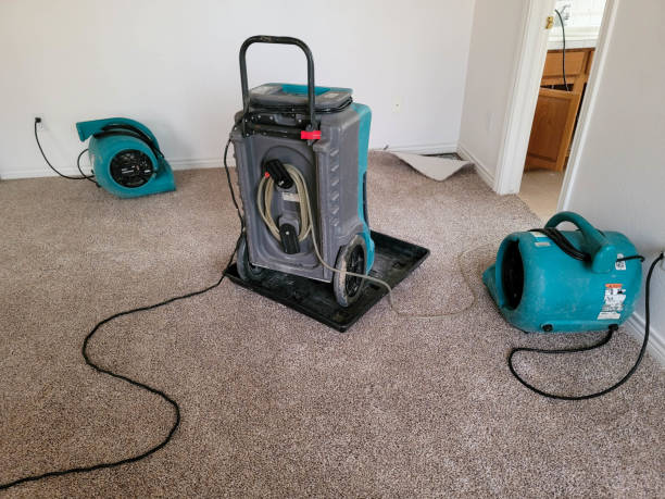 Best 24-hour water damage restoration  in Oak Bluffs, MA