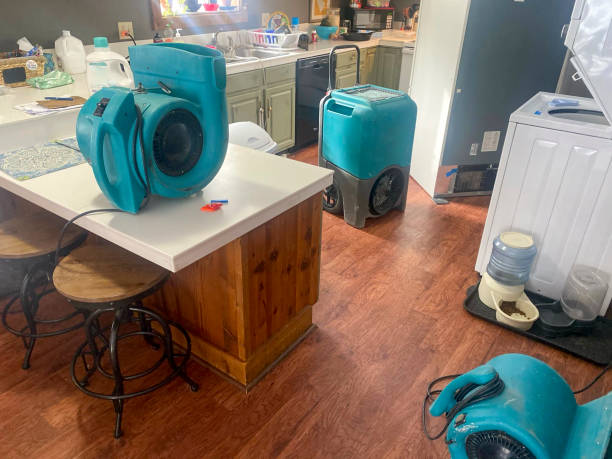 Best Basement water damage restoration  in Oak Bluffs, MA