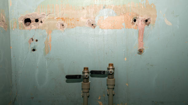 Best Water damage contractors near me  in Oak Bluffs, MA